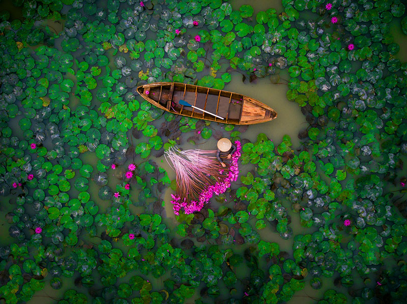"Локвањ, Вијетнам" - Једна од најбољих фотографија снимљених дроном (фото:Dronstragam i "Nacionalna geografija“ )