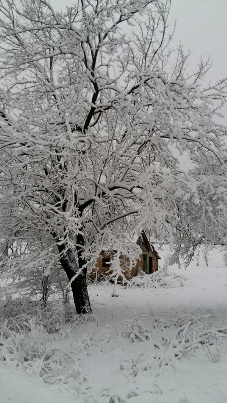 Зима у марту                  (Фото:Петар Зељковић)