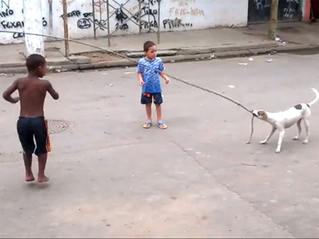 Пас научио да врти конопац - Фото: Screenshot/YouTube