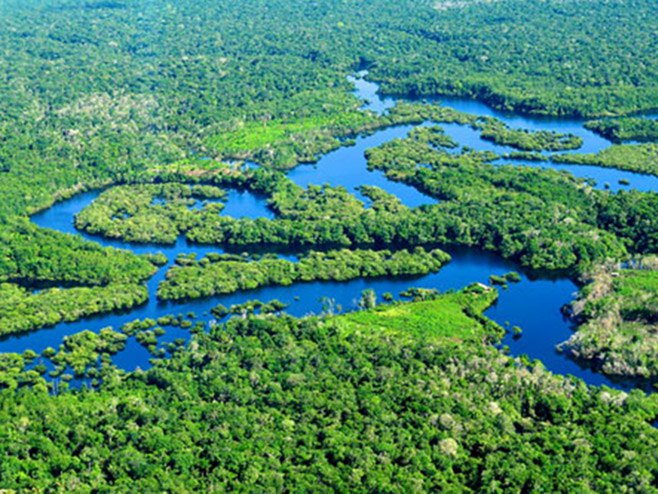 Шуме Амазоније (фото:www.tt-group.net) - 