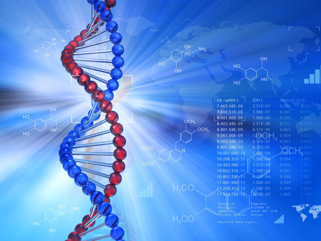ДНК (Фото:http:ocdn.eu) - 