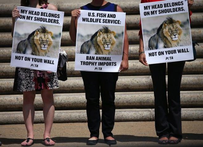 Протести због убиства лава - Фото: Getty Images