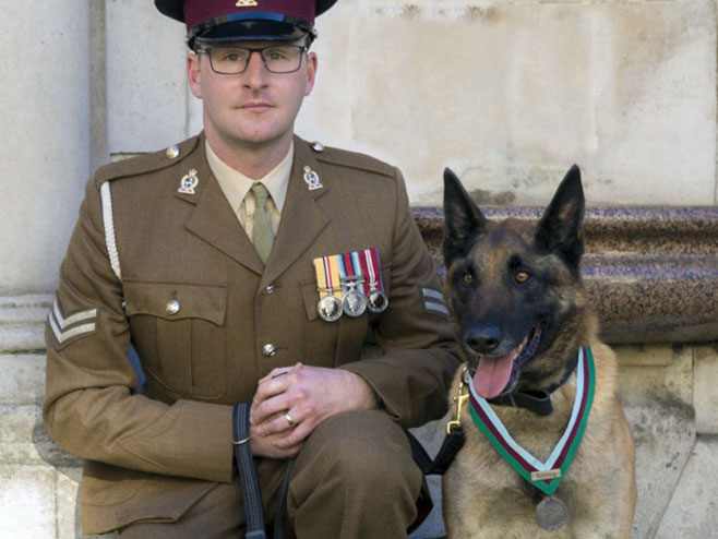 Пас британске војске награђен за храброст - Фото: AP